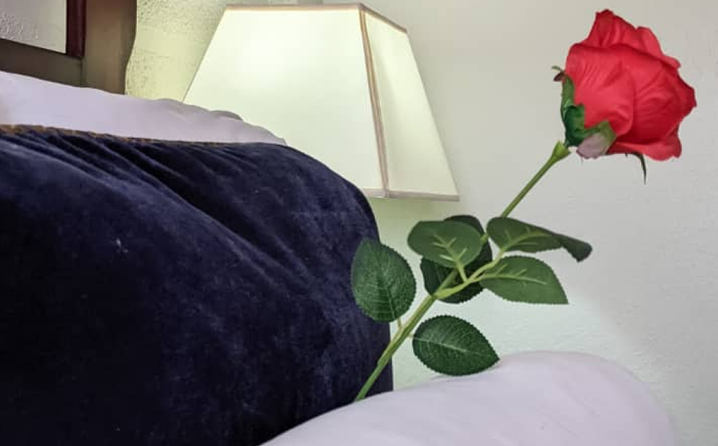 Exclusive Rooms