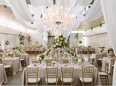 wedding at savoy palmz hotel